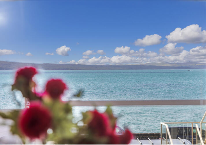 2 BD in Mission Bay, Auckland