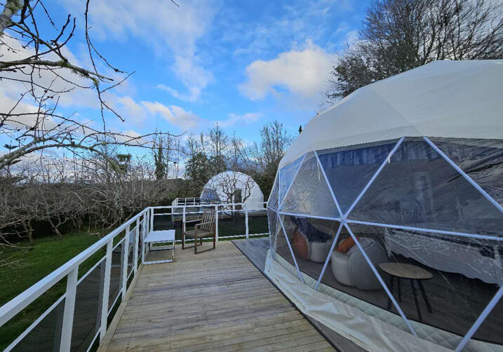 Glamping in Taupaki, Auckland